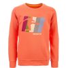 Boys STONES and BONES Sweaters No Hood | Impress - Goalgetter Flamingo - Stones And Bones