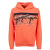 Boys STONES and BONES Hoodies | Florida - Raptor Race Flamingo - Stones And Bones