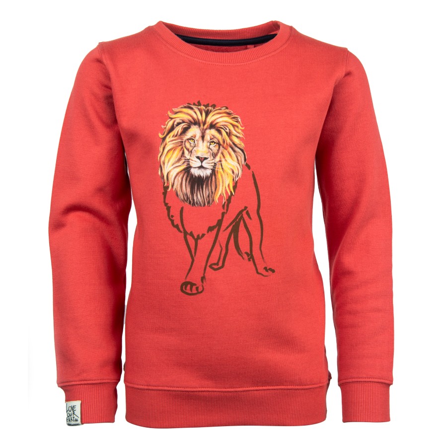 Boys STONES and BONES Sweaters No Hood | Impress - Lion Orchid - Stones And Bones